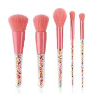 Custom Logo Pink Makeup Brushes 5pcs Bag Cosmetic Professional Makeup Brush Set Wholesale